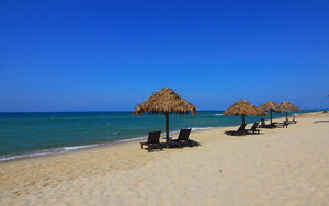 holiday